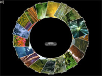 Web Album Rad Flash Vorlage