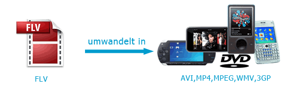 FLV Converter kann FLV Videos in AVI, WMV, 3GP Videos umwandeln