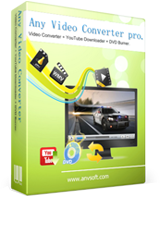 Any Video Converter Professional