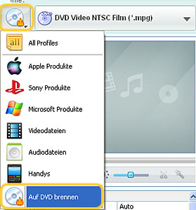 Wählen Sie DVD Format aus MPG auf DVD Brennen Programm