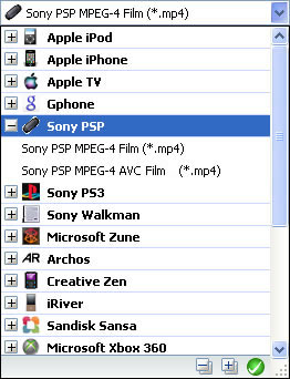Der DVD to PSP Converter konvertiert Videos