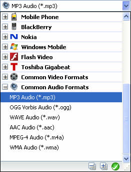 VOB to MP3 Converter Ausgabeformate