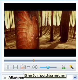 Video Schnappschuss machen und speichern